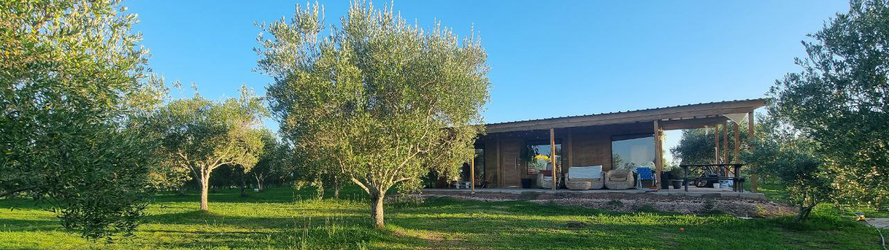 imagen panoramica de la estancia